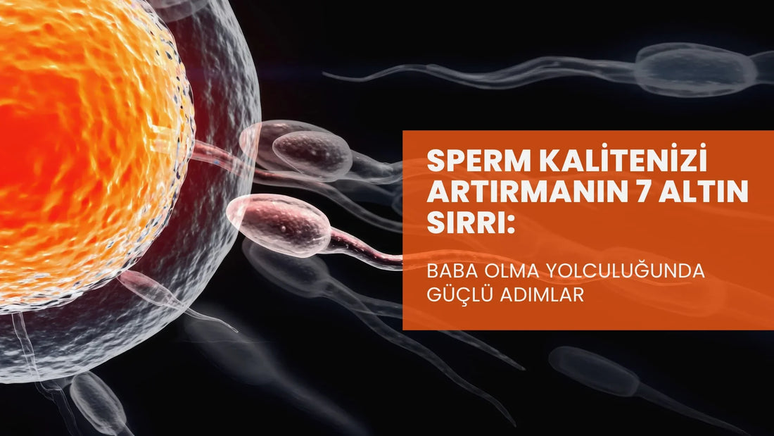 How to Increase Sperm Count and Sperm Quality